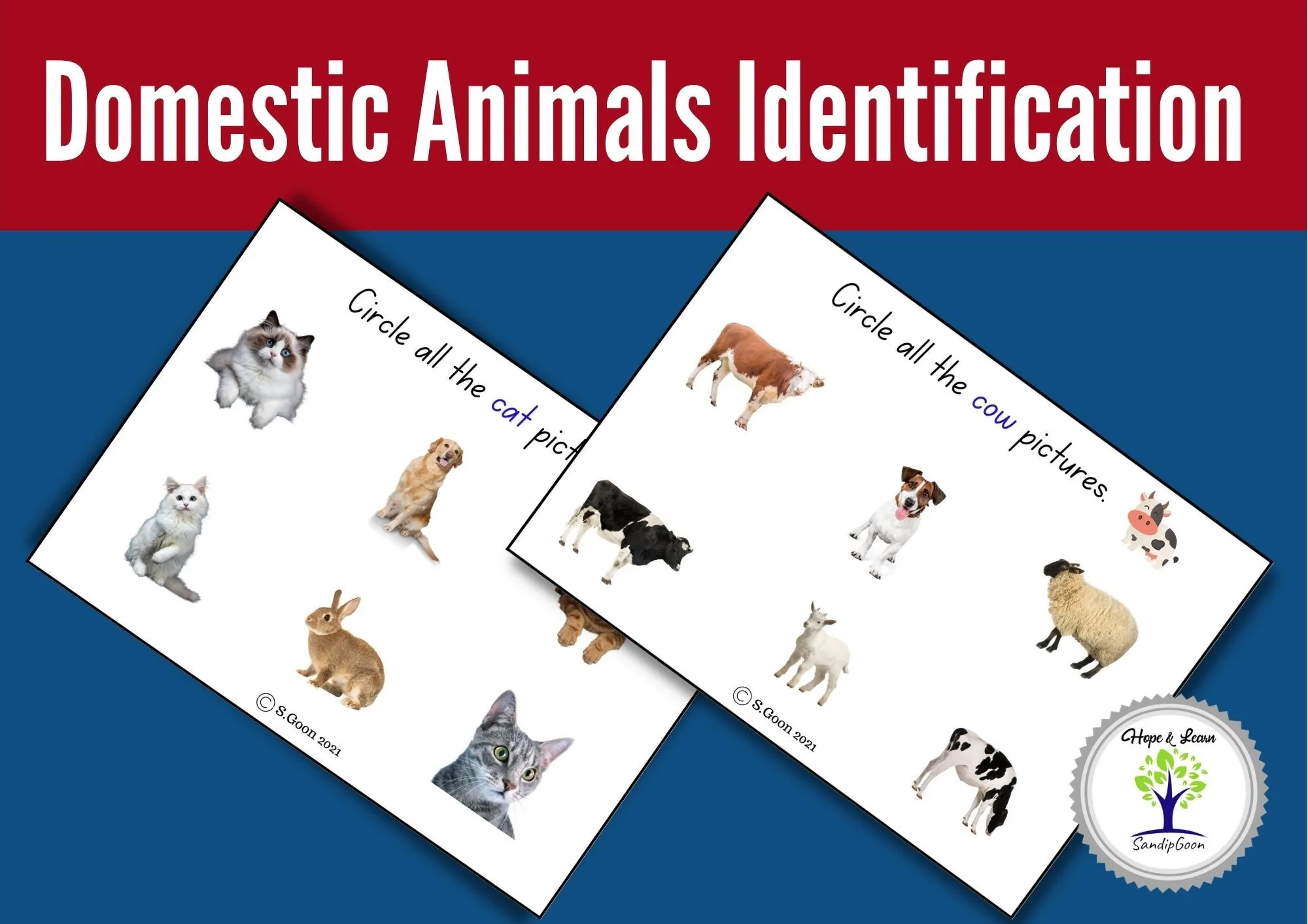Domesticated Animals Identification by Teach Simple