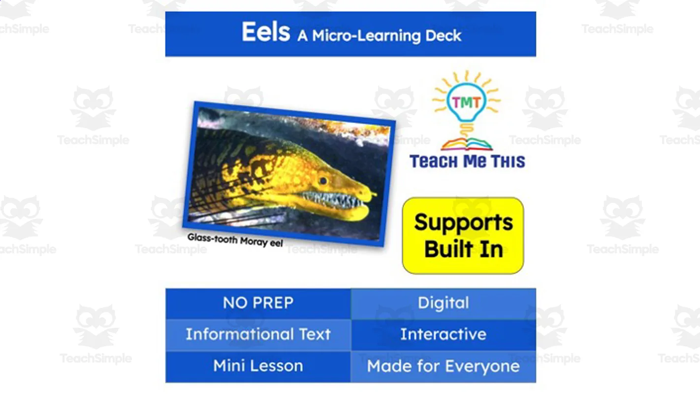 An educational teaching resource from Teach Me This entitled Eels | Interactive Science Lesson | Micro-Learning Deck downloadable at Teach Simple.