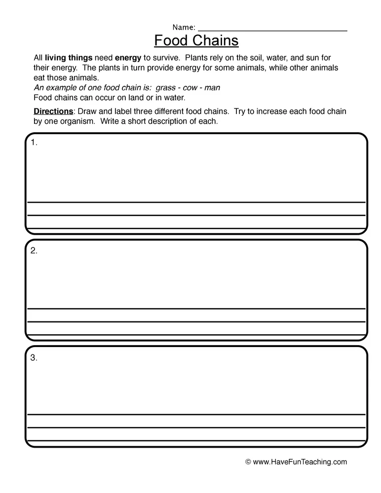 Food Chain Worksheet by Teach Simple Biology Diagrams