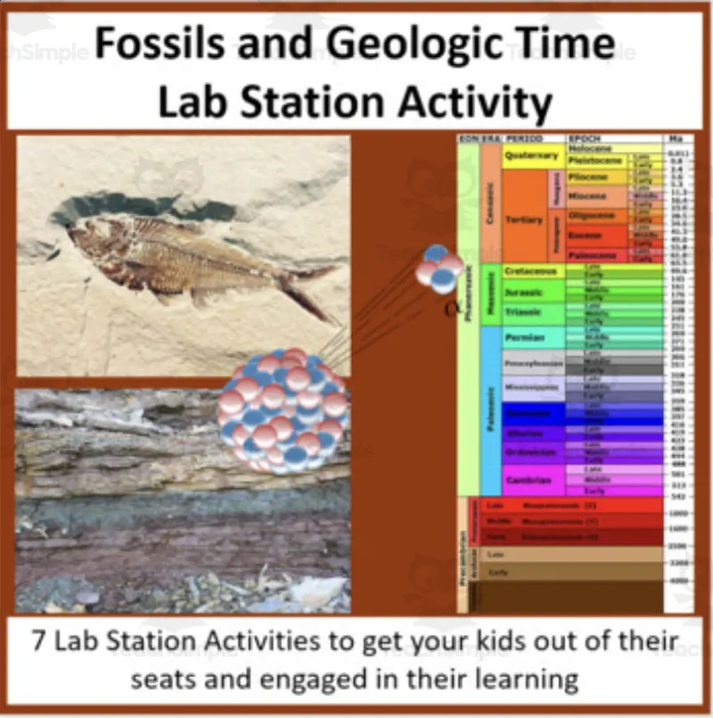 An educational teaching resource from Teach With Fergy entitled Fossils and Geologic Time – Lab Station Activity downloadable at Teach Simple.