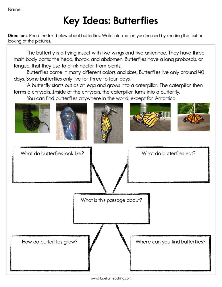 An educational teaching resource from Have Fun Teaching entitled Key Ideas Butterflies Worksheet downloadable at Teach Simple.