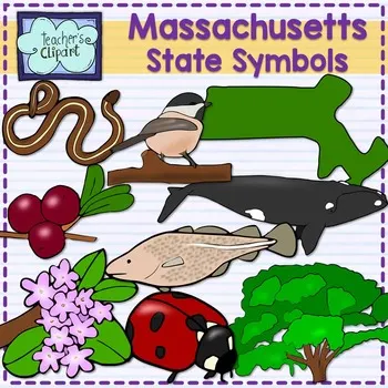 An educational teaching resource from Teacher's Clipart entitled Massachusetts State Symbols Clip Art downloadable at Teach Simple.