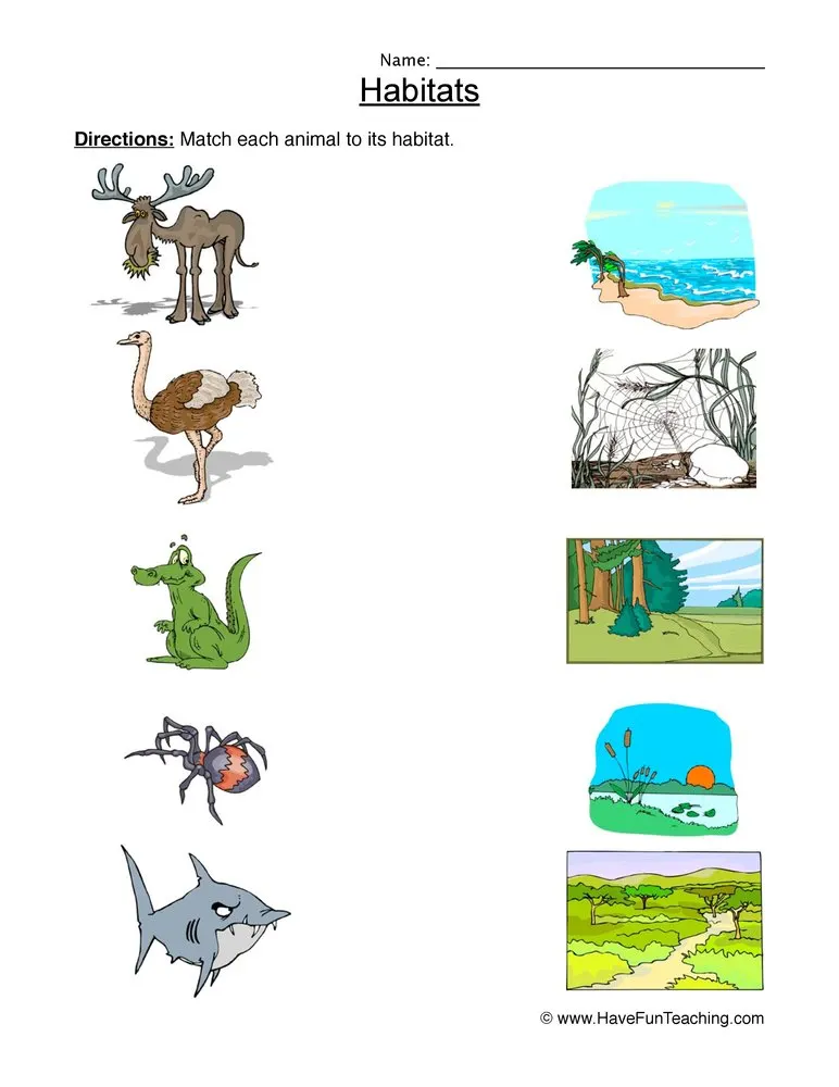 An educational teaching resource from Have Fun Teaching entitled Matching Animal Habitats Worksheet downloadable at Teach Simple.