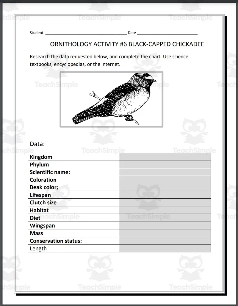 Ornithology: Black-Capped Chickadee - Research Project by Teach Simple