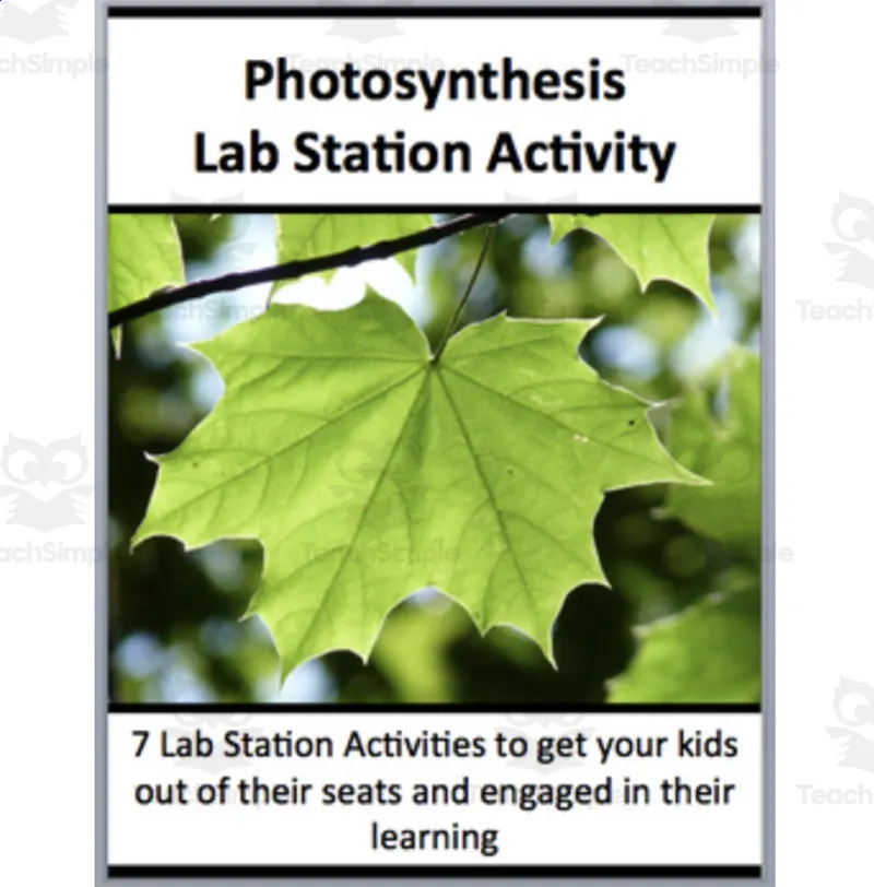 Photosynthesis Lab Station Activity by Teach Simple