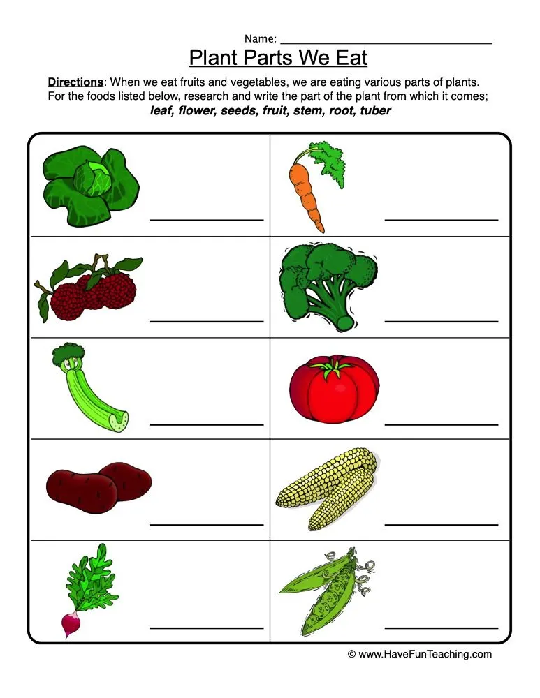 An educational teaching resource from Have Fun Teaching entitled Plant Parts We Eat Worksheet downloadable at Teach Simple.