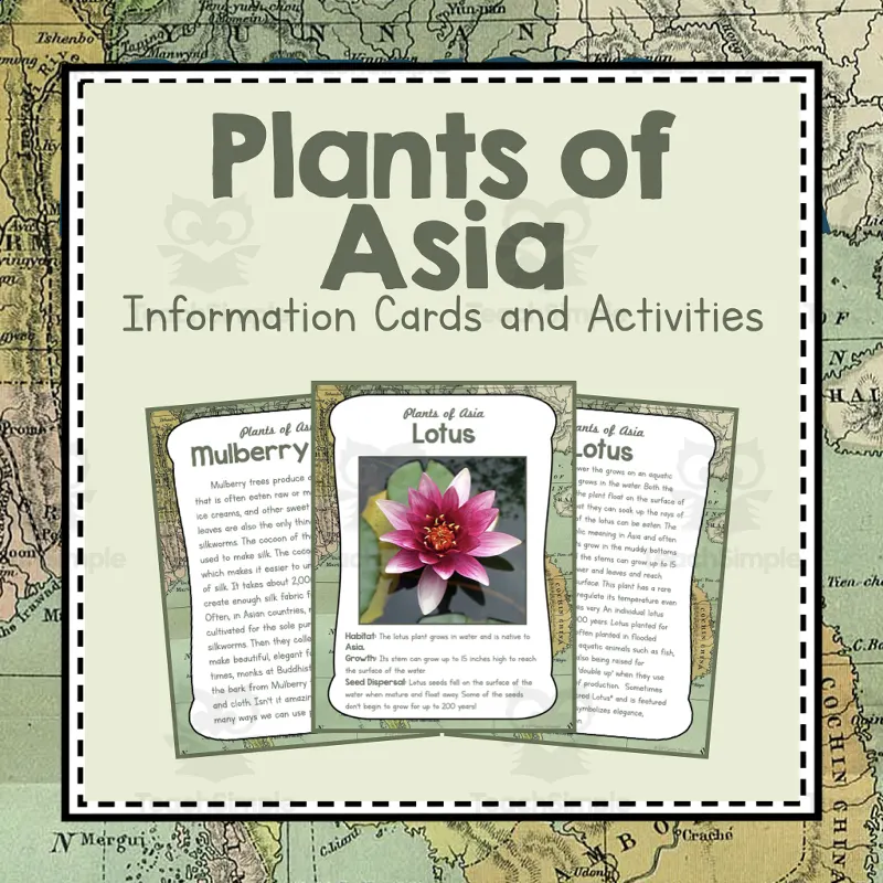 Plants Of Asia Asia Unit Study Geography Bundle By Teach Simple Plants Of Asia Asia Unit Study Geography Bundle By Teach Simple