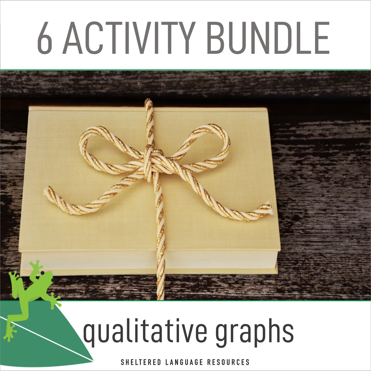 Qualitative Graphs 6 Activity Bundle by Teach Simple