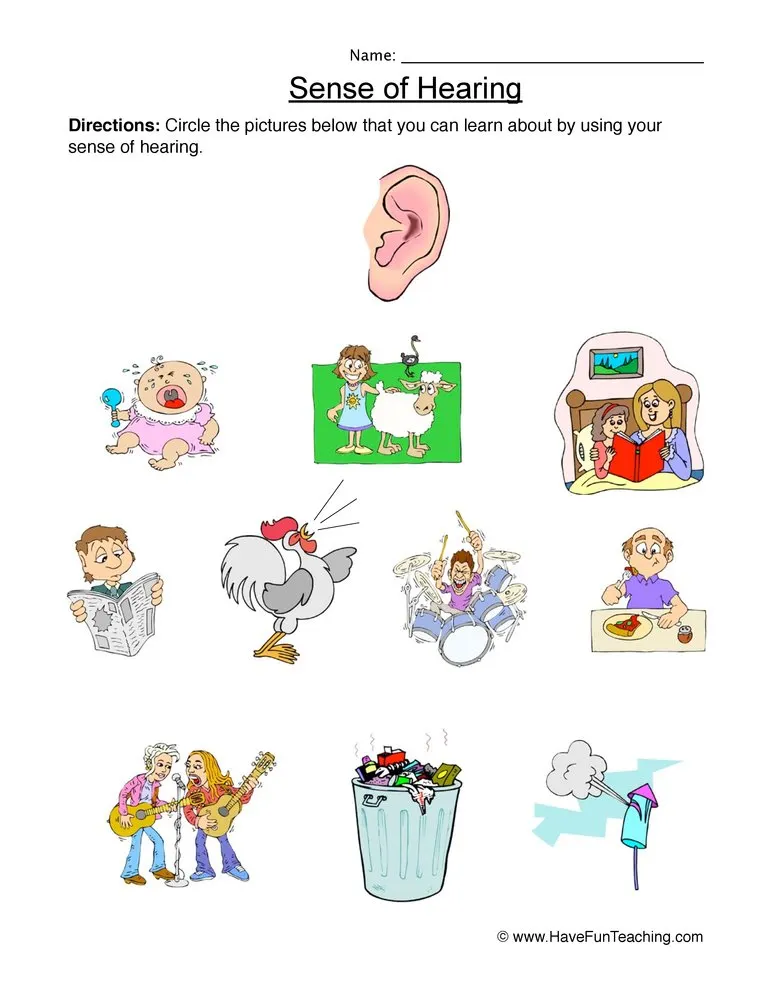 An educational teaching resource from Have Fun Teaching entitled Senses Hearing Worksheet downloadable at Teach Simple.