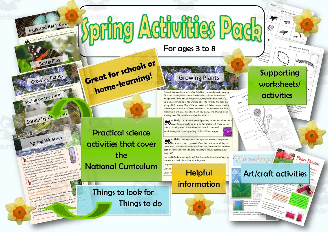 An educational teaching resource from Lilibette's Resources entitled Spring Science and Art activities for KS1 downloadable at Teach Simple.