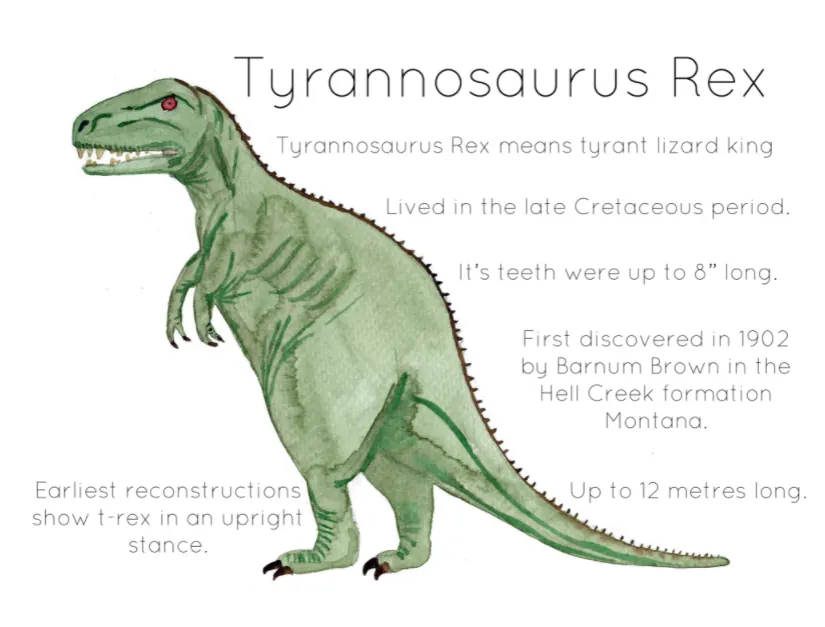An educational teaching resource from Fiddleticks Education entitled Tyrannosaurus Rex Printable Poster downloadable at Teach Simple.