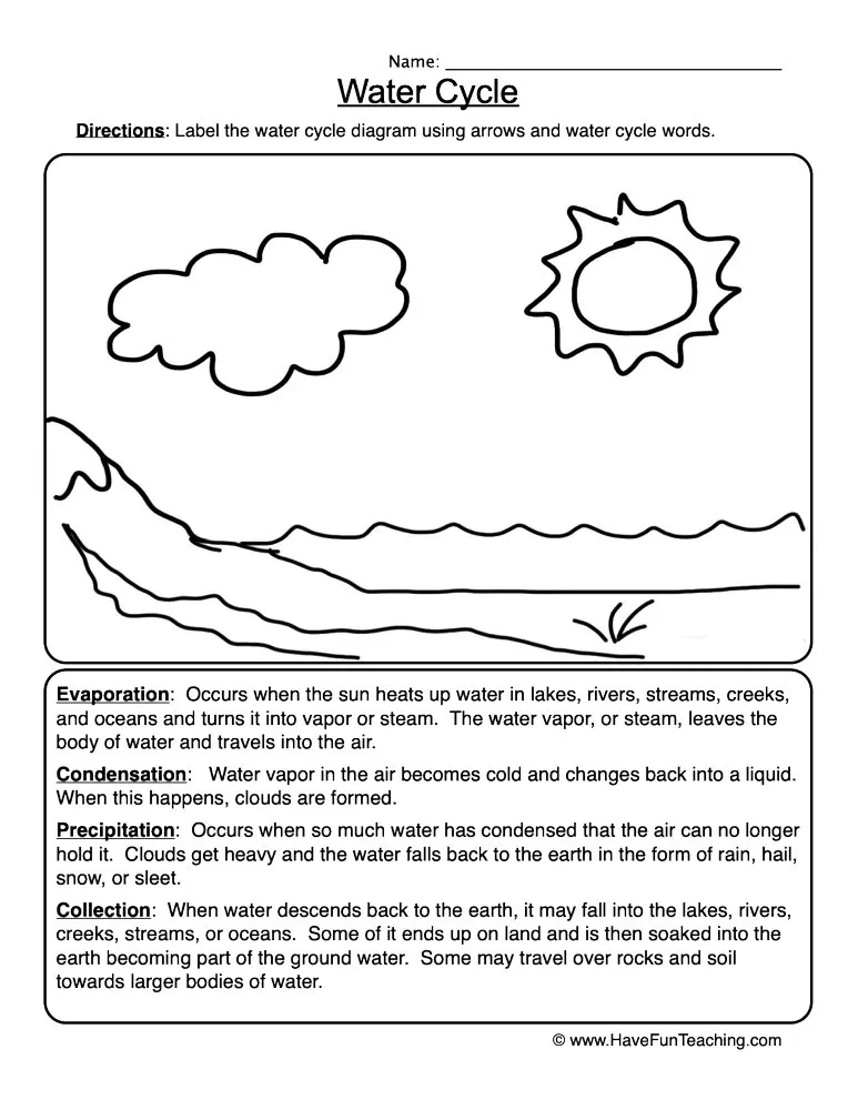 An educational teaching resource from Have Fun Teaching entitled Water Cycle Worksheet downloadable at Teach Simple.