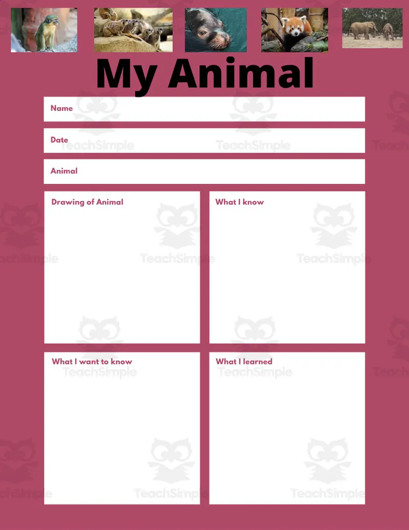 Zoo Animal Fact Sheet Packet by Teach Simple