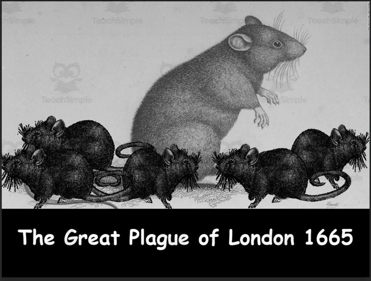 An educational teaching resource from Elementary Resources 4 U entitled Discovering the Great Plague of 1665: Unit Plan and PowerPoint downloadable at Teach Simple.
