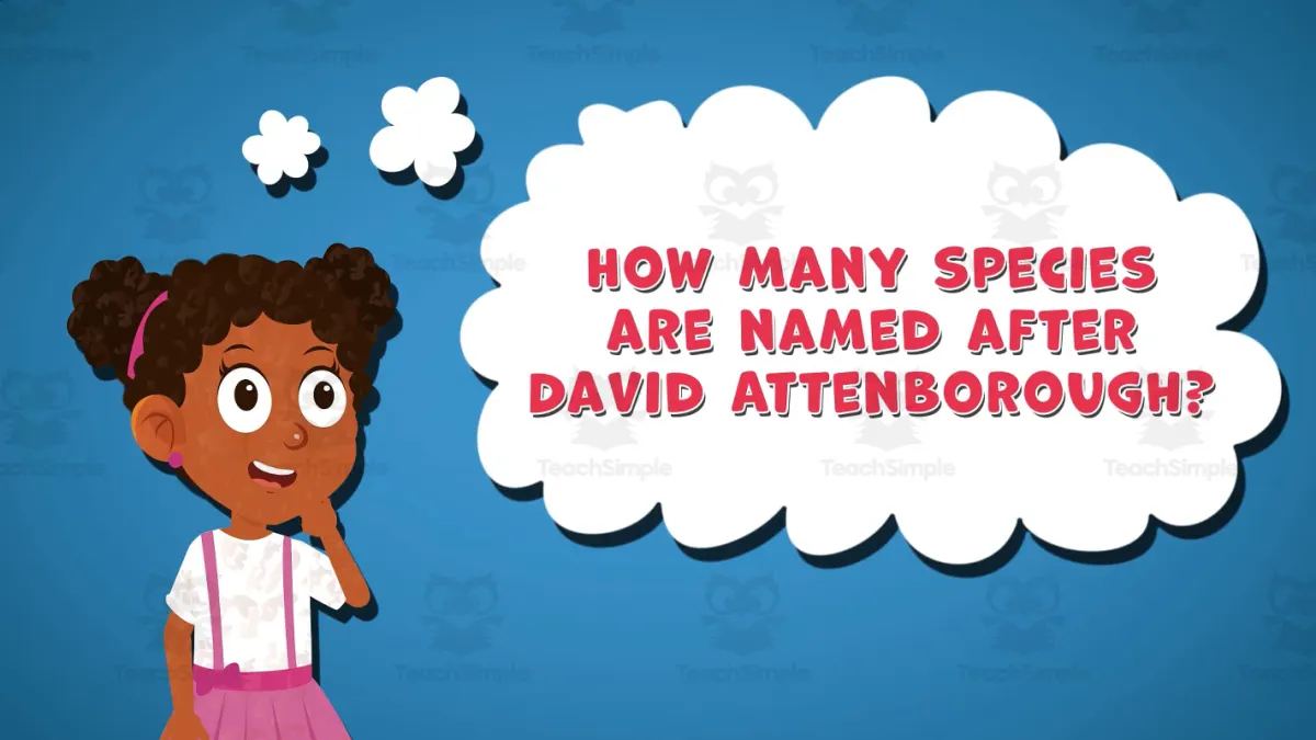 An educational teaching resource from Educational Voice entitled I WONDER - How Many Species Are Named After David Attenborough downloadable at Teach Simple.