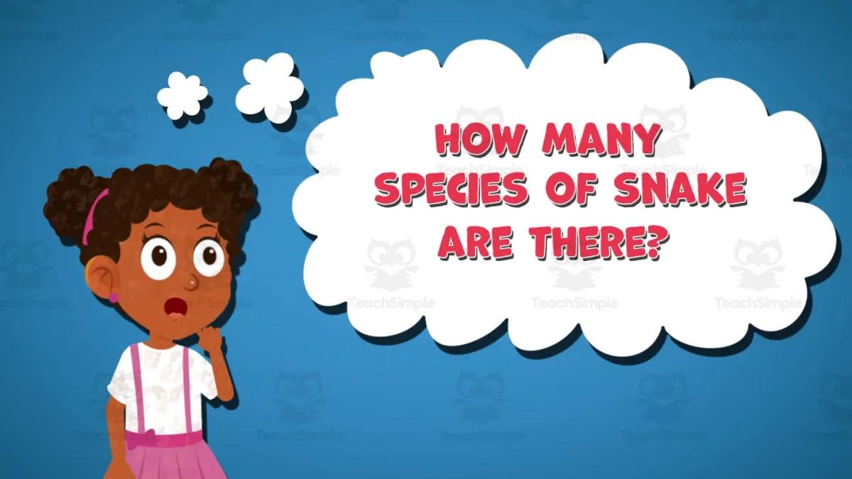 An educational teaching resource from Educational Voice entitled I WONDER - How Many Species Of Snake There Are | Animated Video Lesson downloadable at Teach Simple.