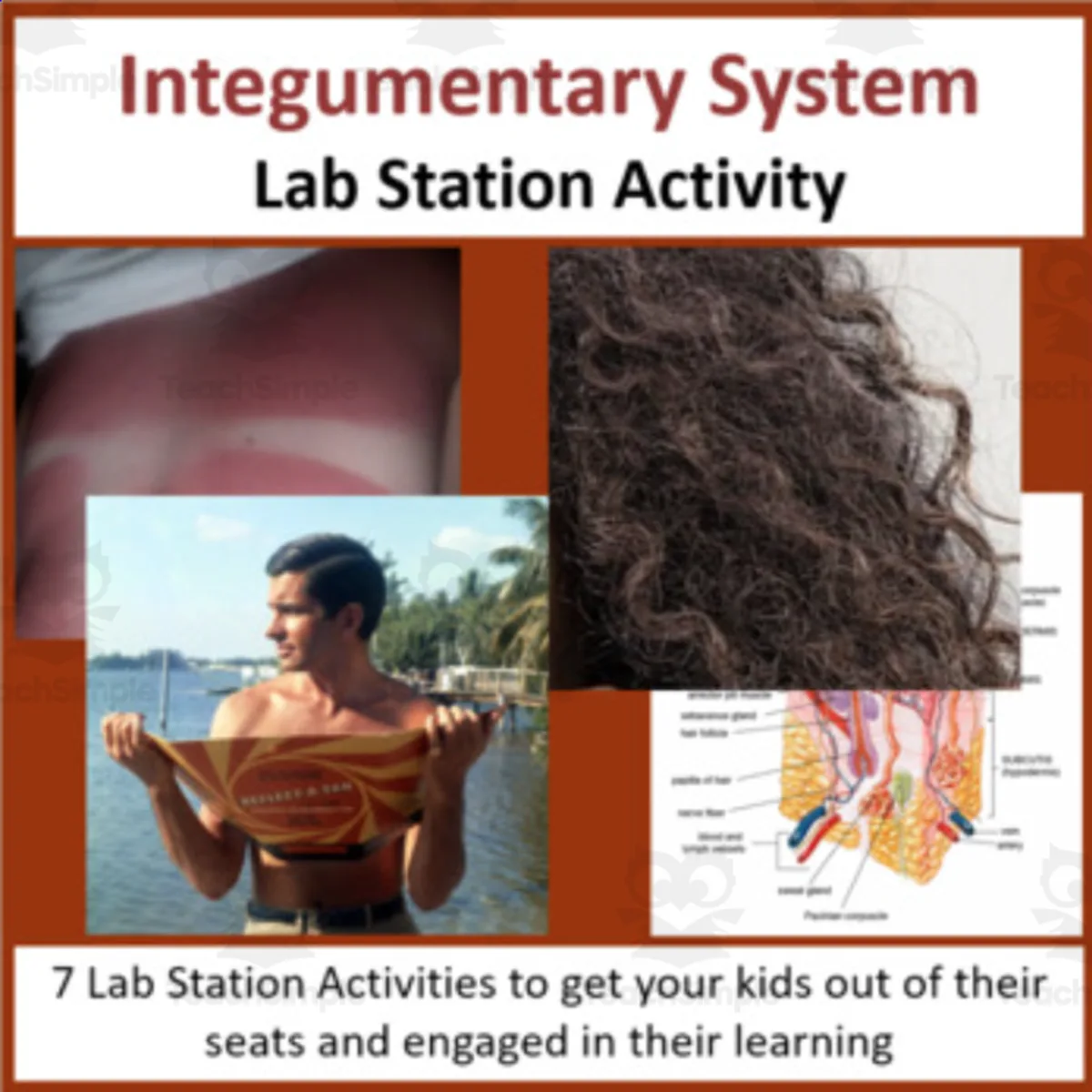 An educational teaching resource from Teach With Fergy entitled Integumentary System – Lab Station Activity downloadable at Teach Simple.