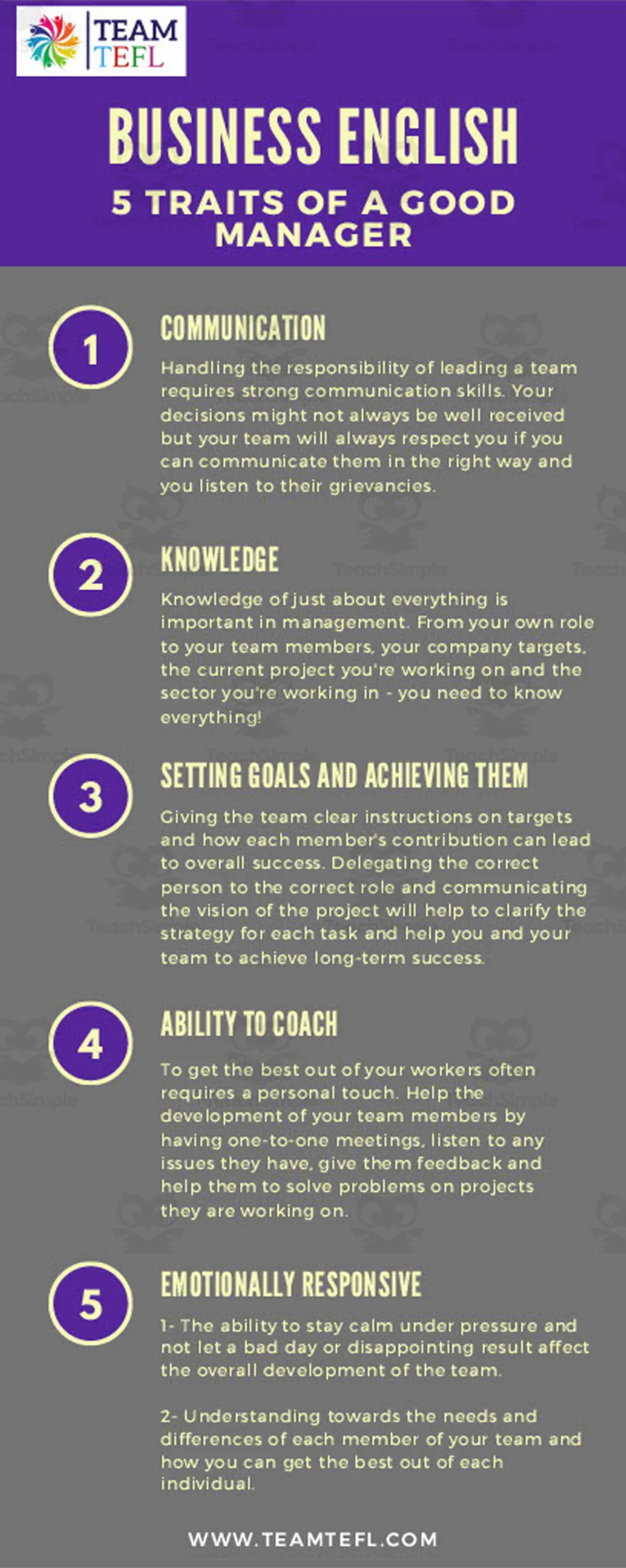 An educational teaching resource from TEAM TEFL entitled Management and Leadership Lesson Plan | Business English Level 2 downloadable at Teach Simple.