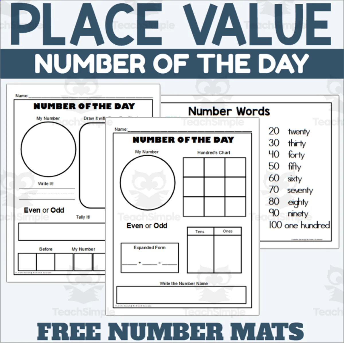 An educational teaching resource from The Connett Connection entitled Number of the Day - 2 Digit Place Value downloadable at Teach Simple.