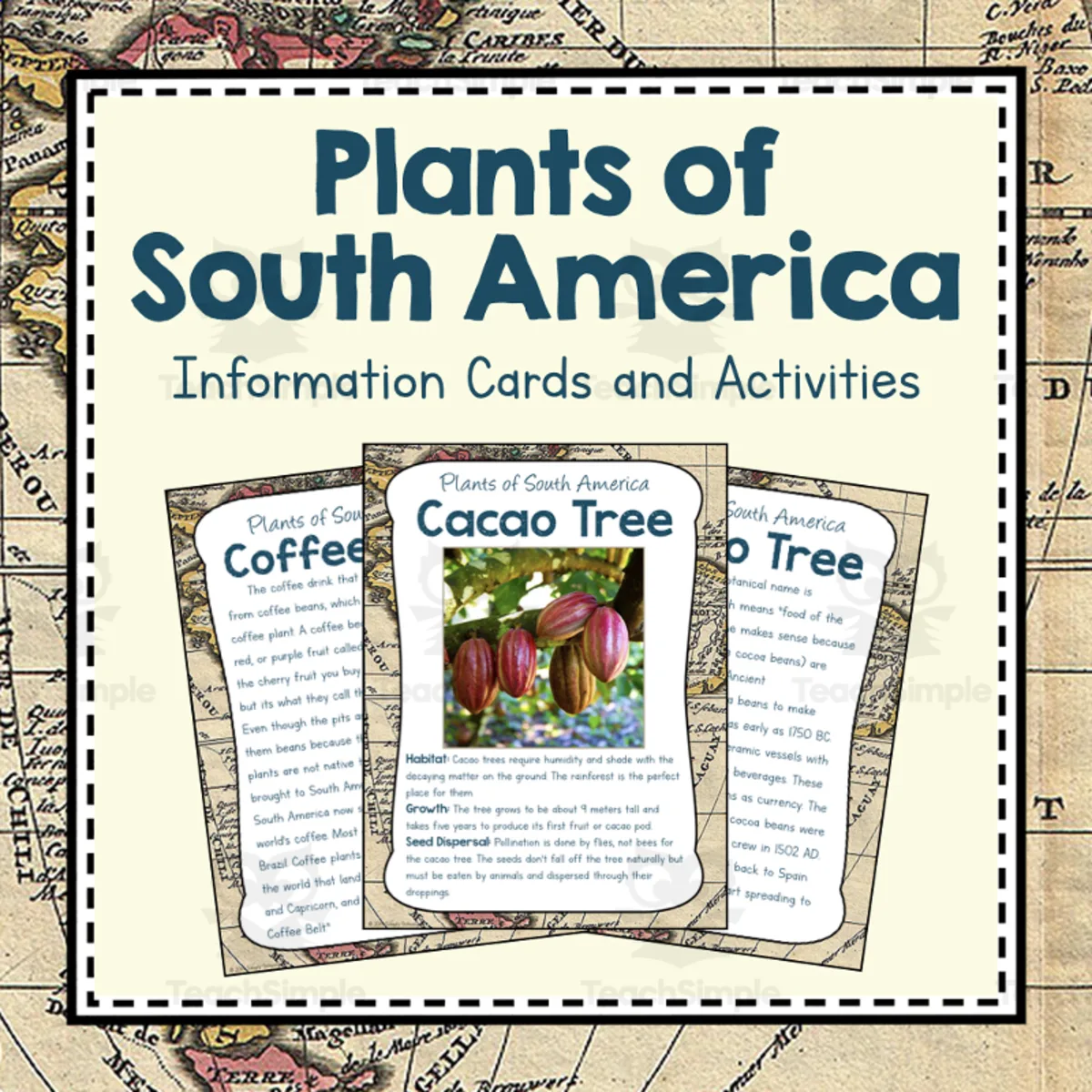 An educational teaching resource from Simply Schoolgirl entitled Plants of South America | South America Unit Study | Geography Bundle downloadable at Teach Simple.