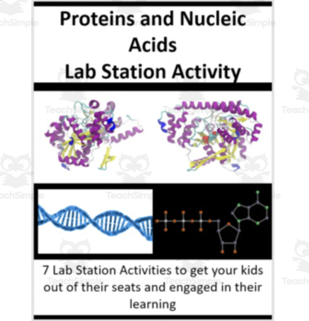 An educational teaching resource from Teach With Fergy entitled Proteins and Nucleic Acids – Lab Station Activity downloadable at Teach Simple.