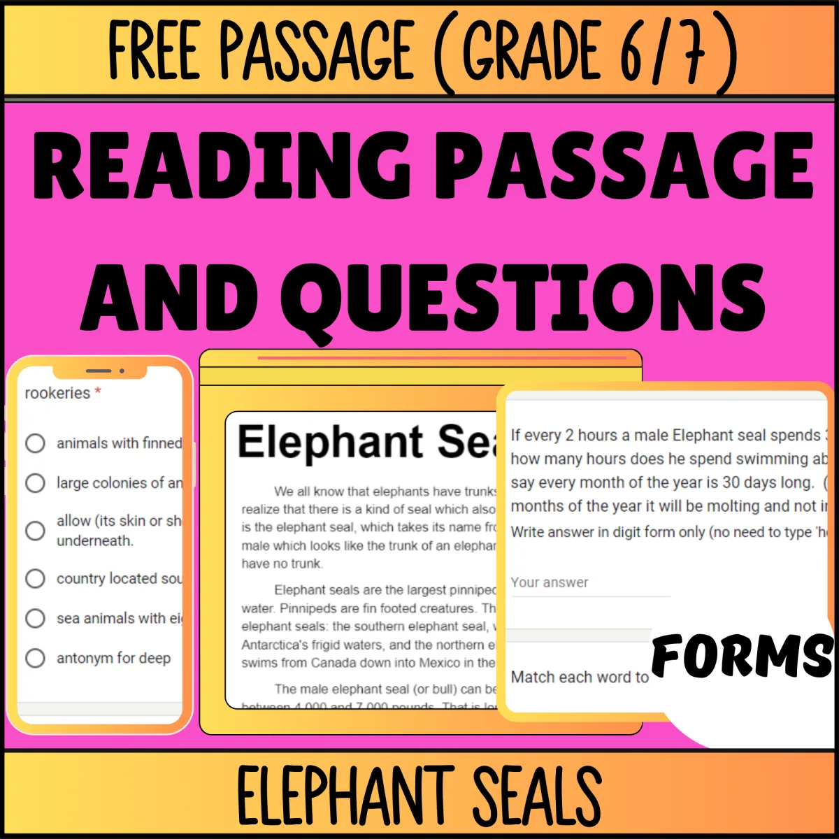 An educational teaching resource from Cored Education entitled Reading Comprehension Nonfiction Set 1 Sample: Elephant Seals (Forms) downloadable at Teach Simple.