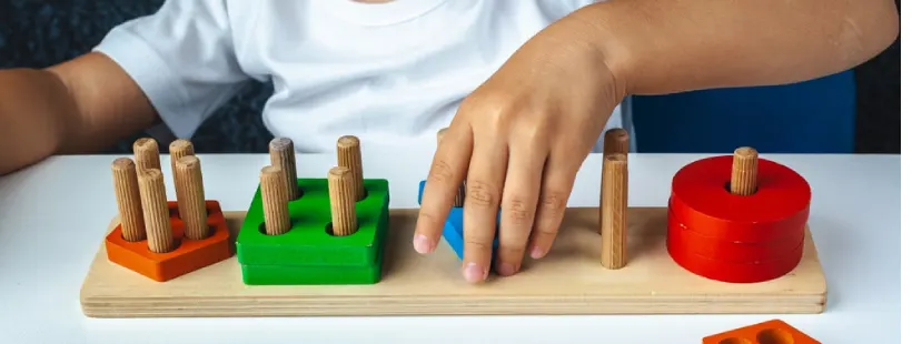Bachelor’s degree in child development