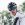 Chris Froome