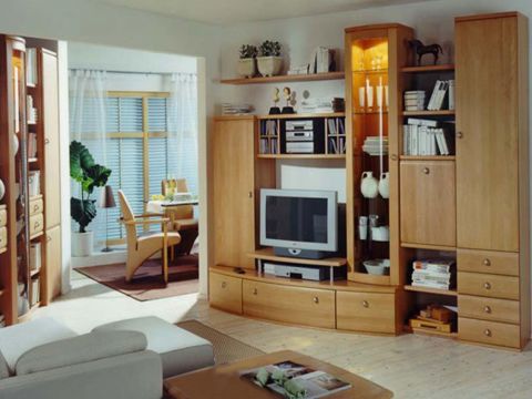 LIVING ROOM  Dream Kitchen Interior