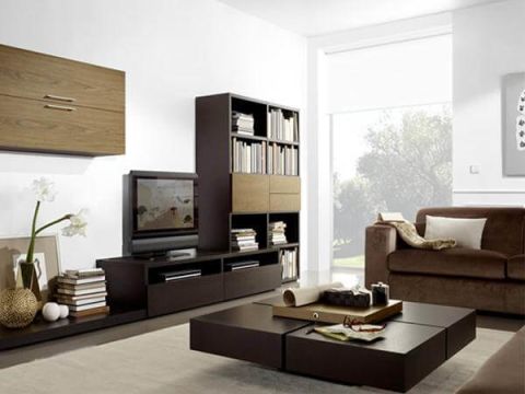 LIVING ROOM  Veltech Interiors