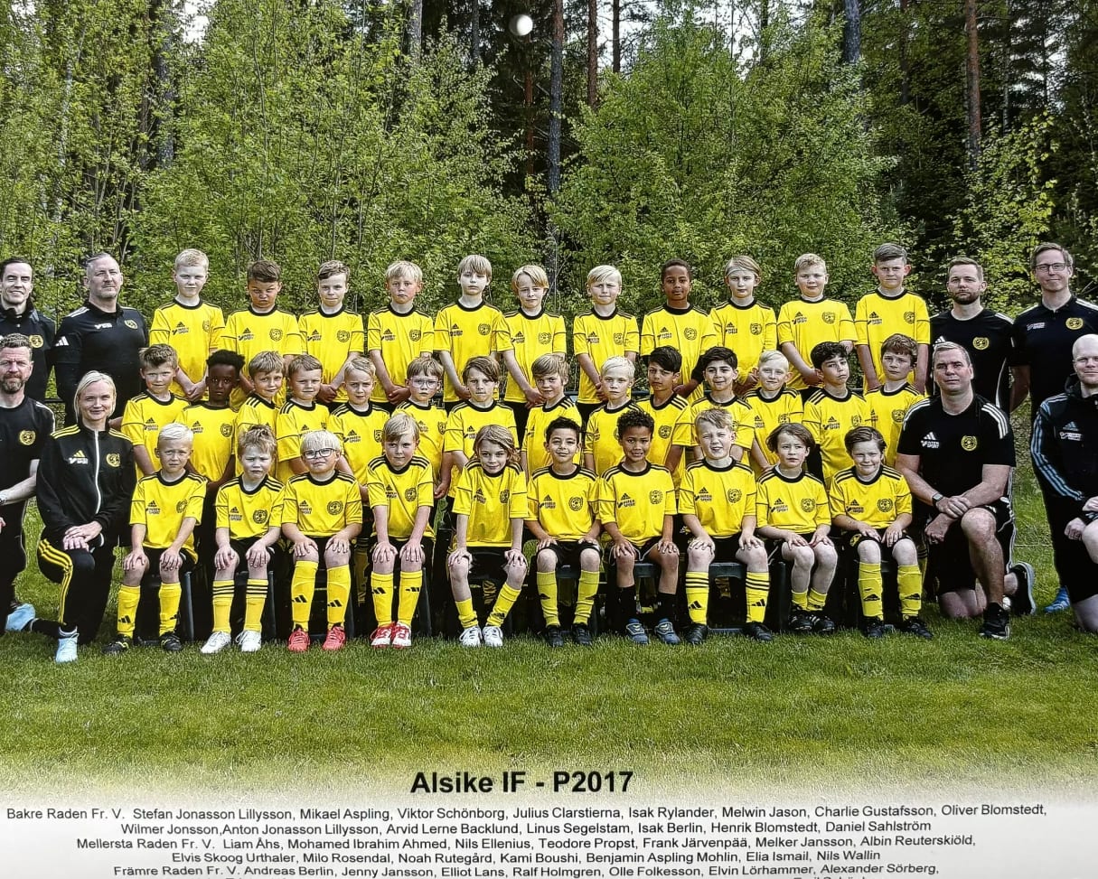 Alsike IF P2017