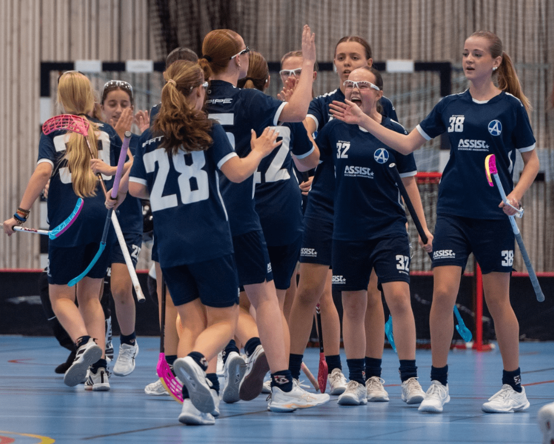 Älvsjö AIK IB - F11
