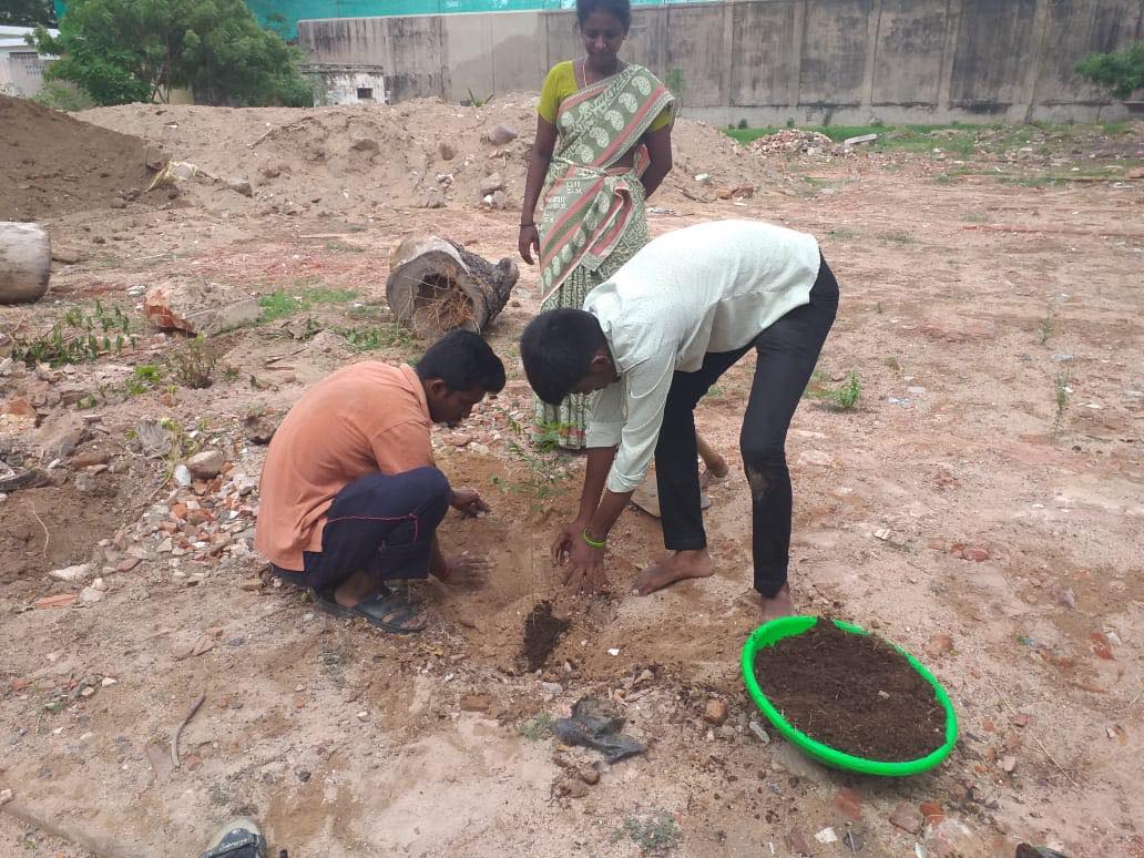 Planting