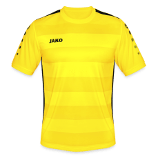 JAKO Trikot Celtic 2.0 kurzarm