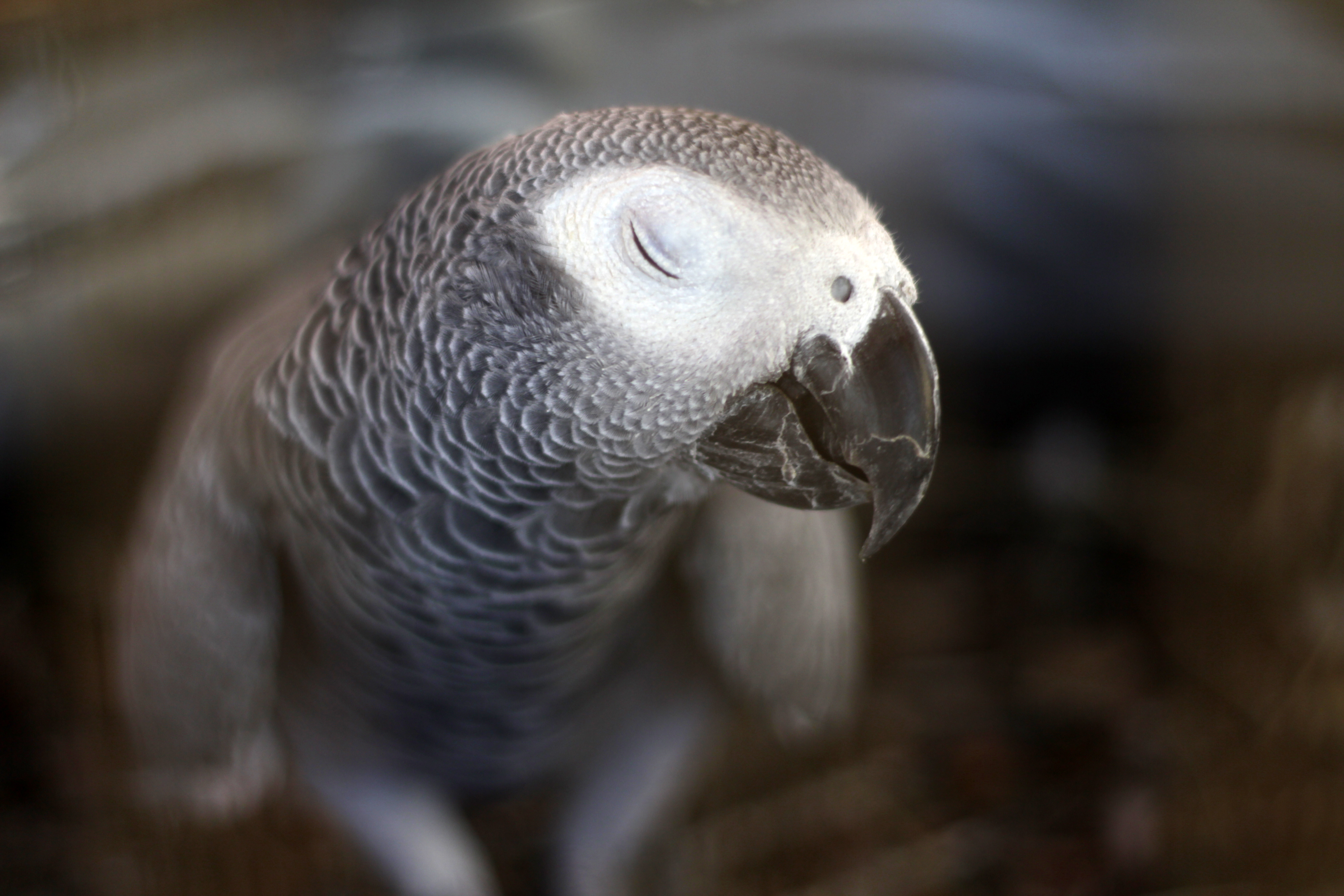 featured image thumbnail for post undefined