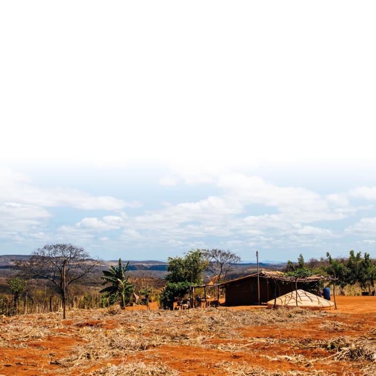 As comunidades na região semiárida do Nordeste do Brasil lutam para lidar com as condições de seca, que são agravadas pela mudança climática. 