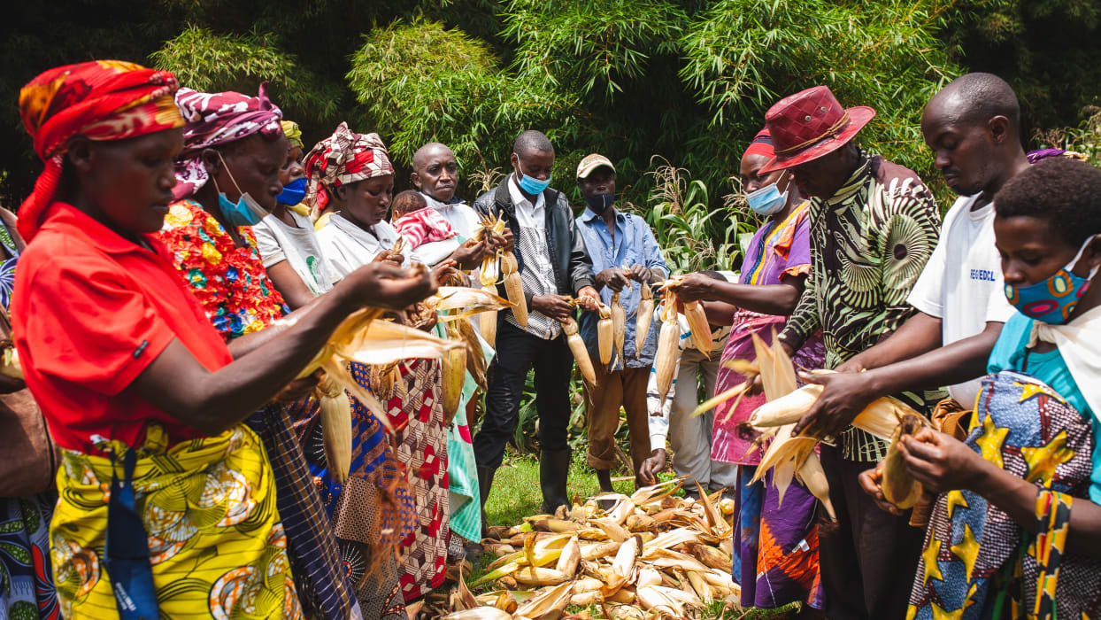 A group of people stand in a circle holding maize in their hands.