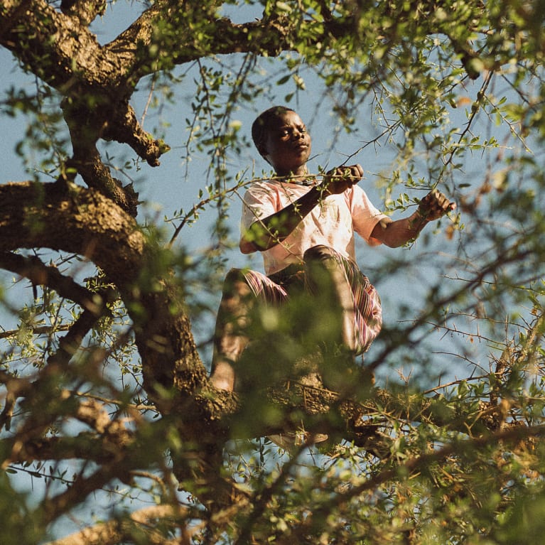 A person sits on tree limb, reaching for a branch. Sky peeks through the leaves.