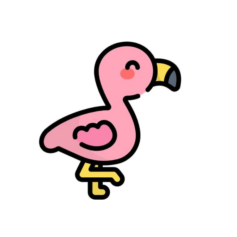 A baby flamingo standing on one leg