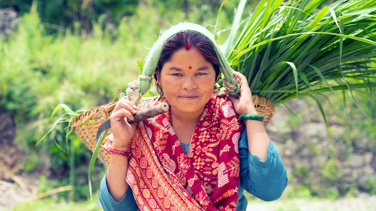 A Nepalis woman holding a basket with plants on her back.