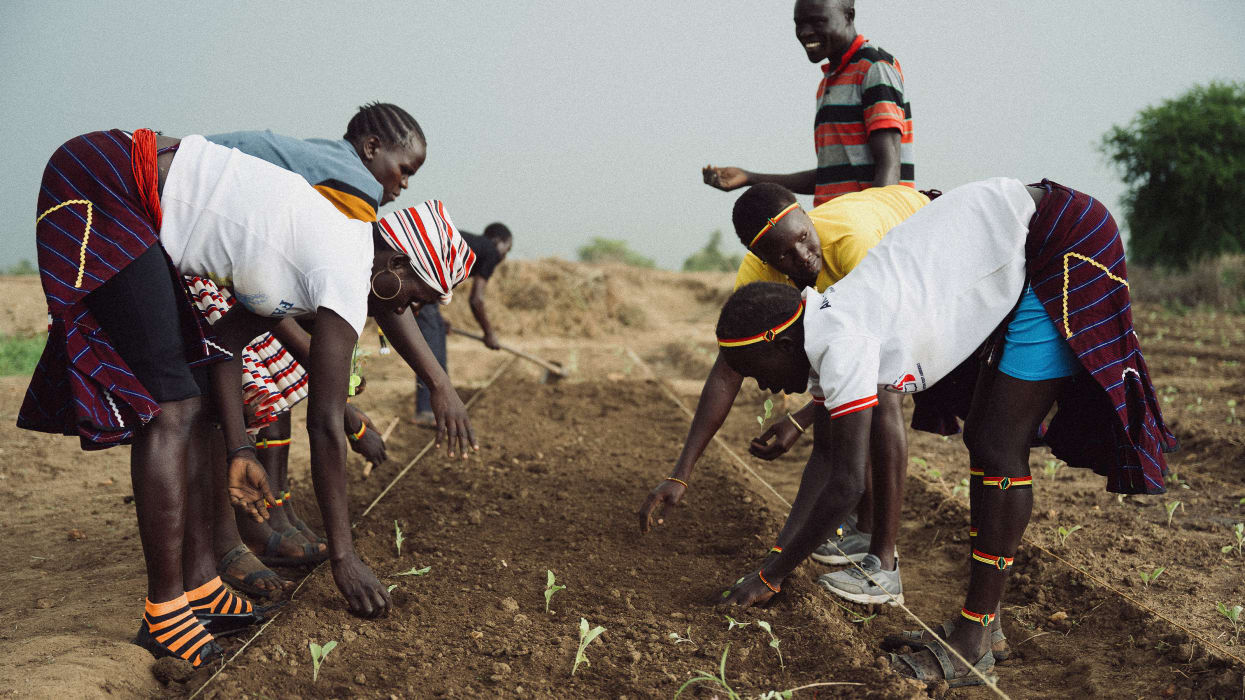 A group of people, some bent over, plant small green seedlings in rows of brown soil. Strings mark the planting lines, and a man in a striped shirt smiles in the background.