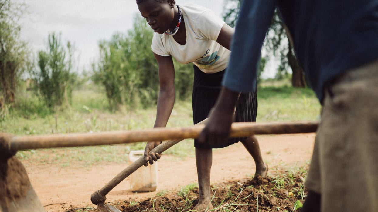 Two people cultivating soil with hoes outdoors, one in focus tilling the ground.