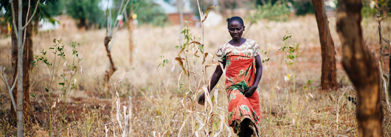 Aksa Chinigu (58) practices conservation farming thanks to the work of self-help groups in her village. Tom Price - Ecce Opus/Tearfund