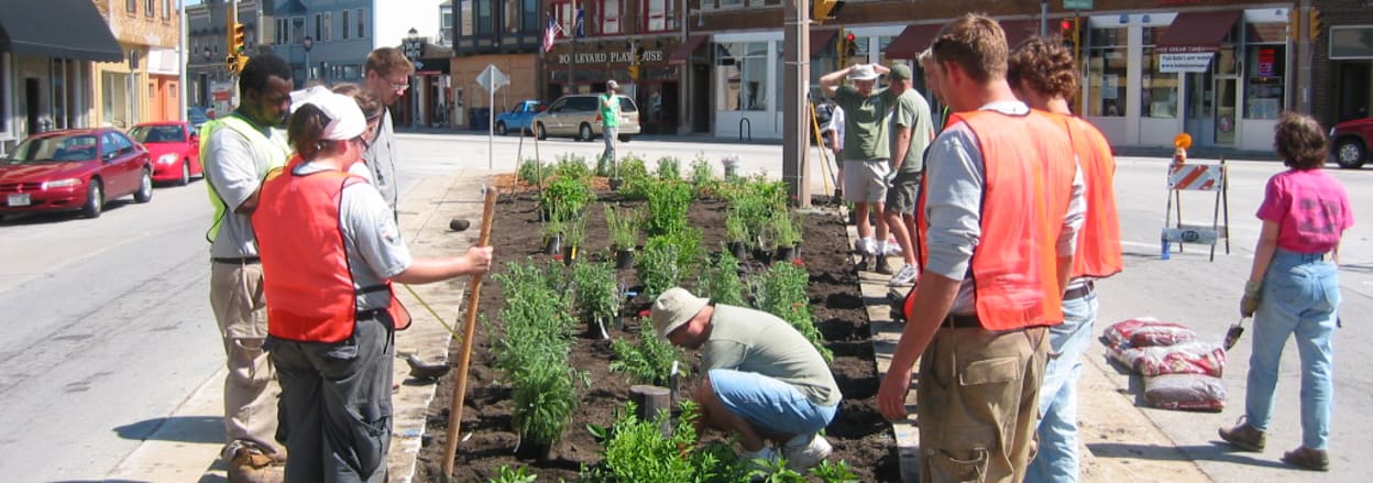 Urban Planting. Creative Commons - https://commons.wikimedia.org/wiki/File:BayViewKKTrianglePlanting.jpg