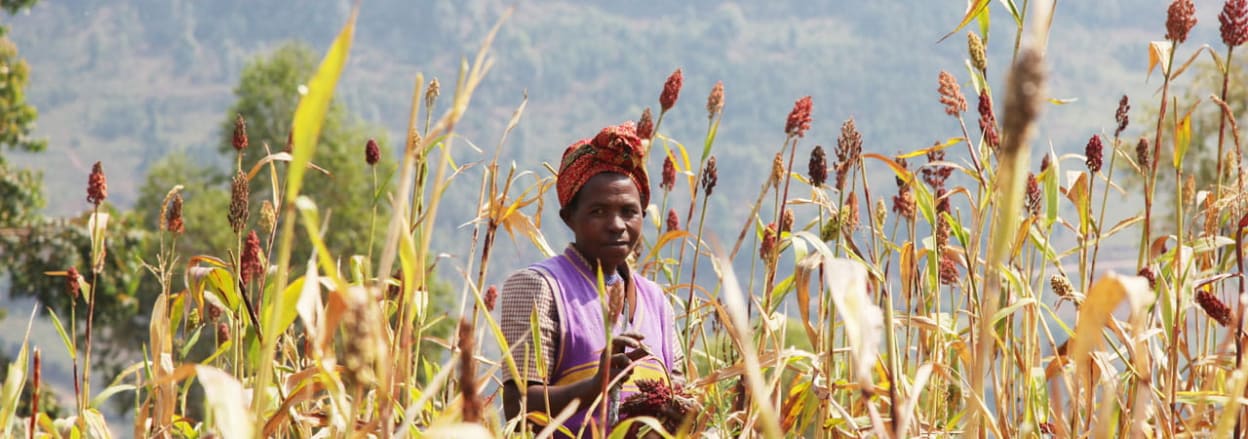 Woman in cornfield