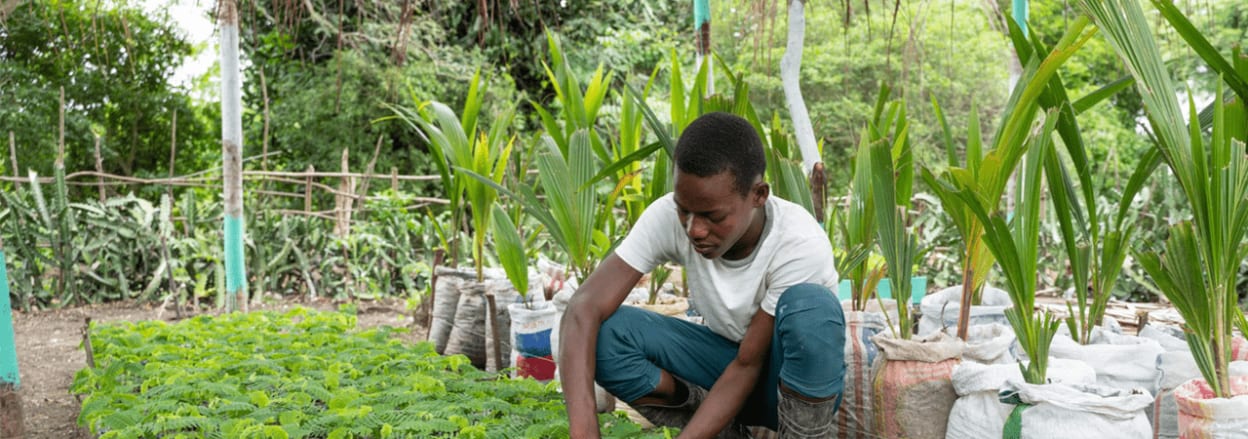 Green Initiatives, Haiti- Kit Powney