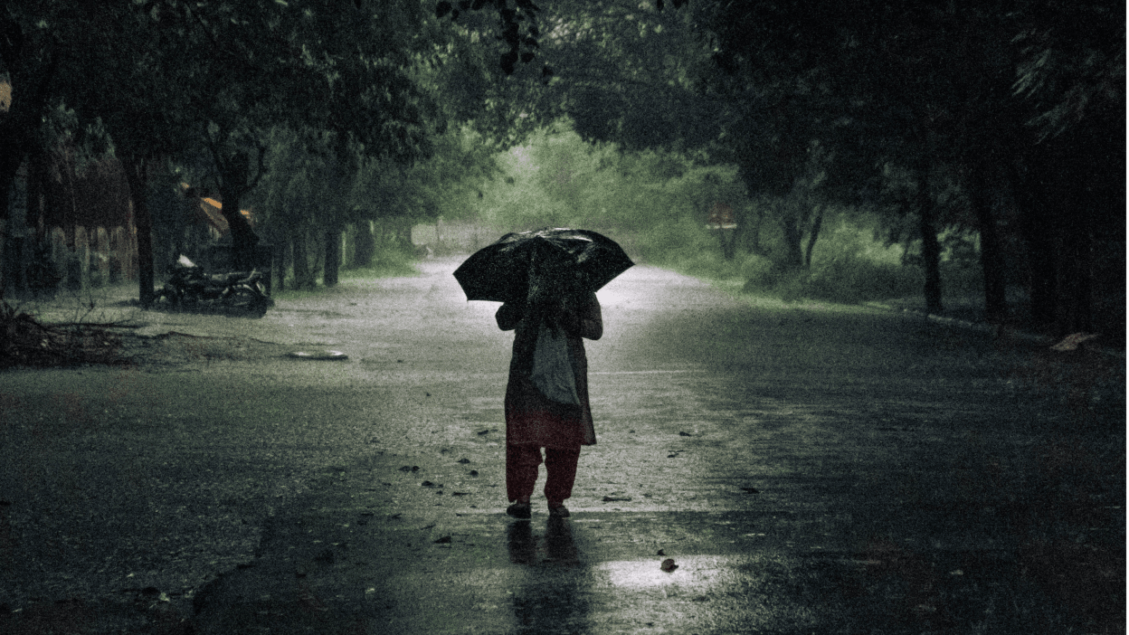 A woman under an umbrella walks through the rain in a tree-lined street in Delhi during monsoon season. This year's rainfall in India has already brought flooding and destroyed roads in the country.