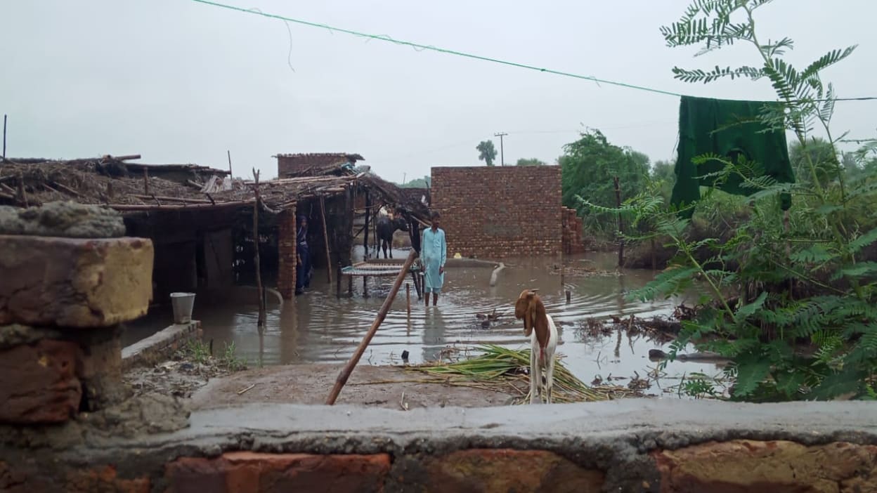 A man and his wife stand in the flooded ruins of his home in Pakistan with their goat and cow. Severe flooding last year left millions in need of humanitarian assistance and this year's monsoon season has already brought more flooding and caused loss of life.