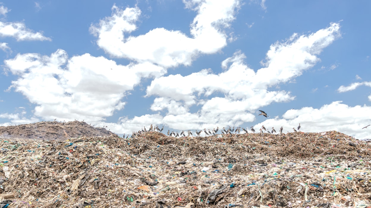 Birds sit atop mountains of rubbish in the Dandora dumpsite, Nairobi.