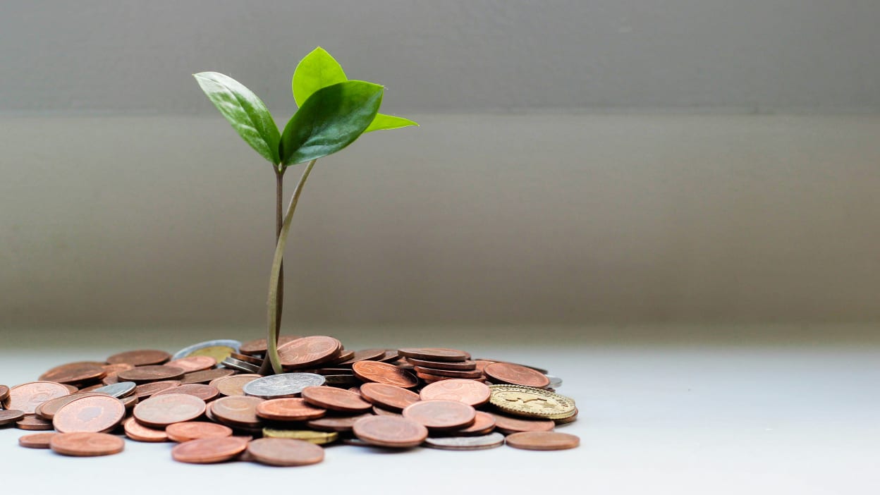 Plant growing from a pile of coins, symbolising financial growth and investment.